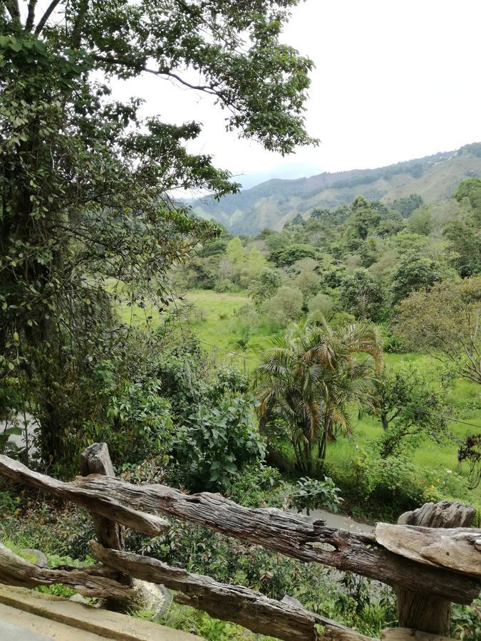 Ecorefugio Las Mirlas 萨兰托 外观 照片