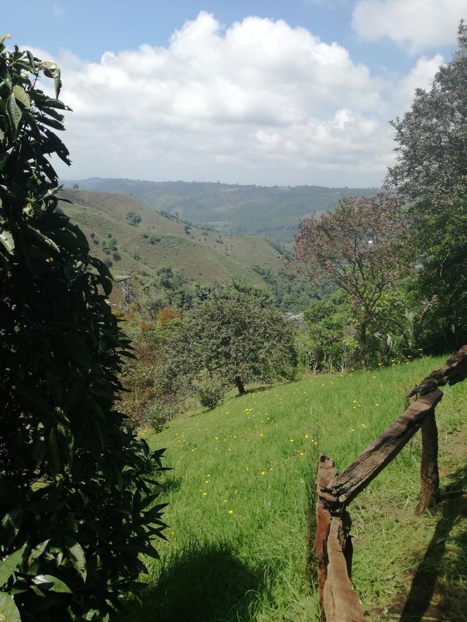 Ecorefugio Las Mirlas 萨兰托 外观 照片