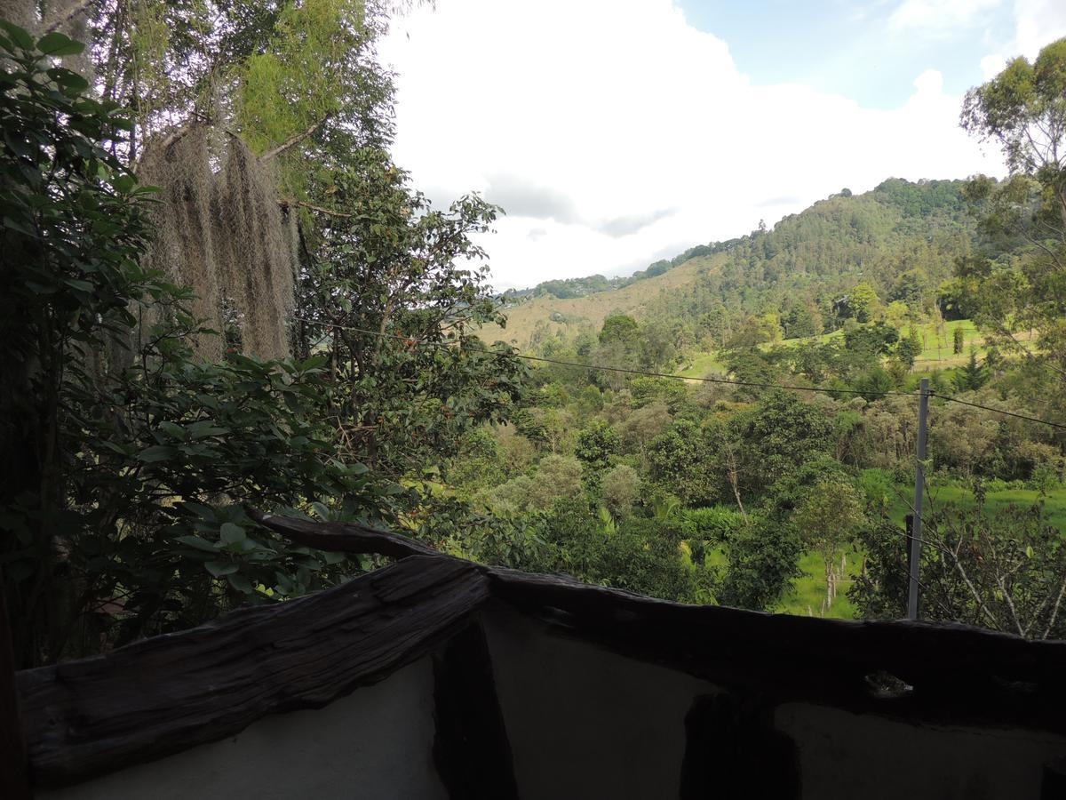 Ecorefugio Las Mirlas 萨兰托 外观 照片