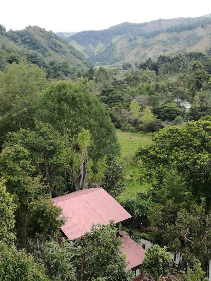 Ecorefugio Las Mirlas 萨兰托 外观 照片