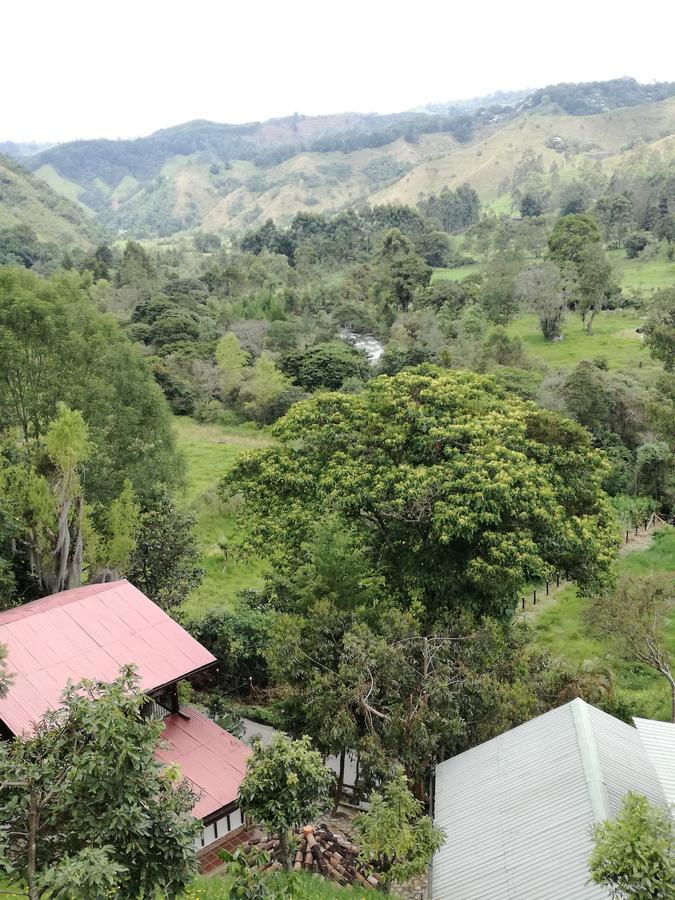 Ecorefugio Las Mirlas 萨兰托 外观 照片