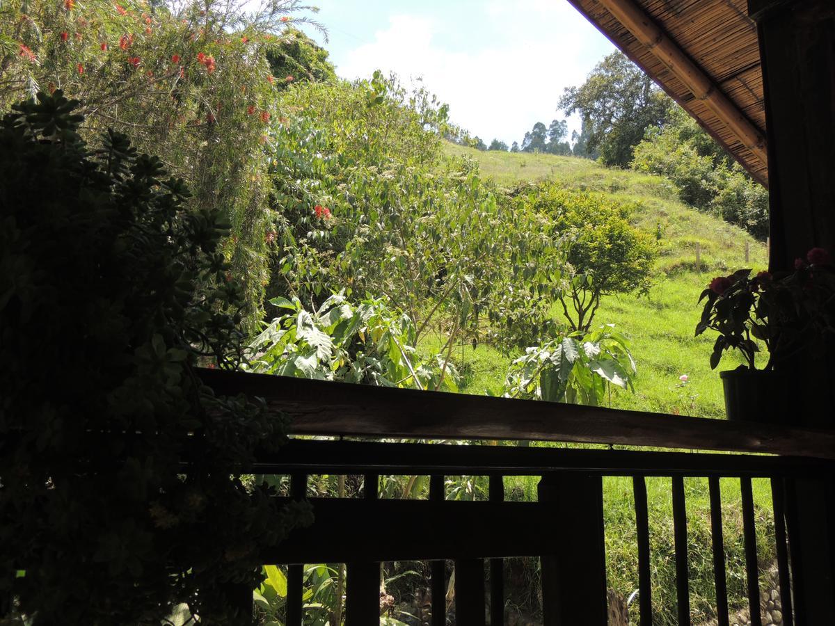 Ecorefugio Las Mirlas 萨兰托 外观 照片
