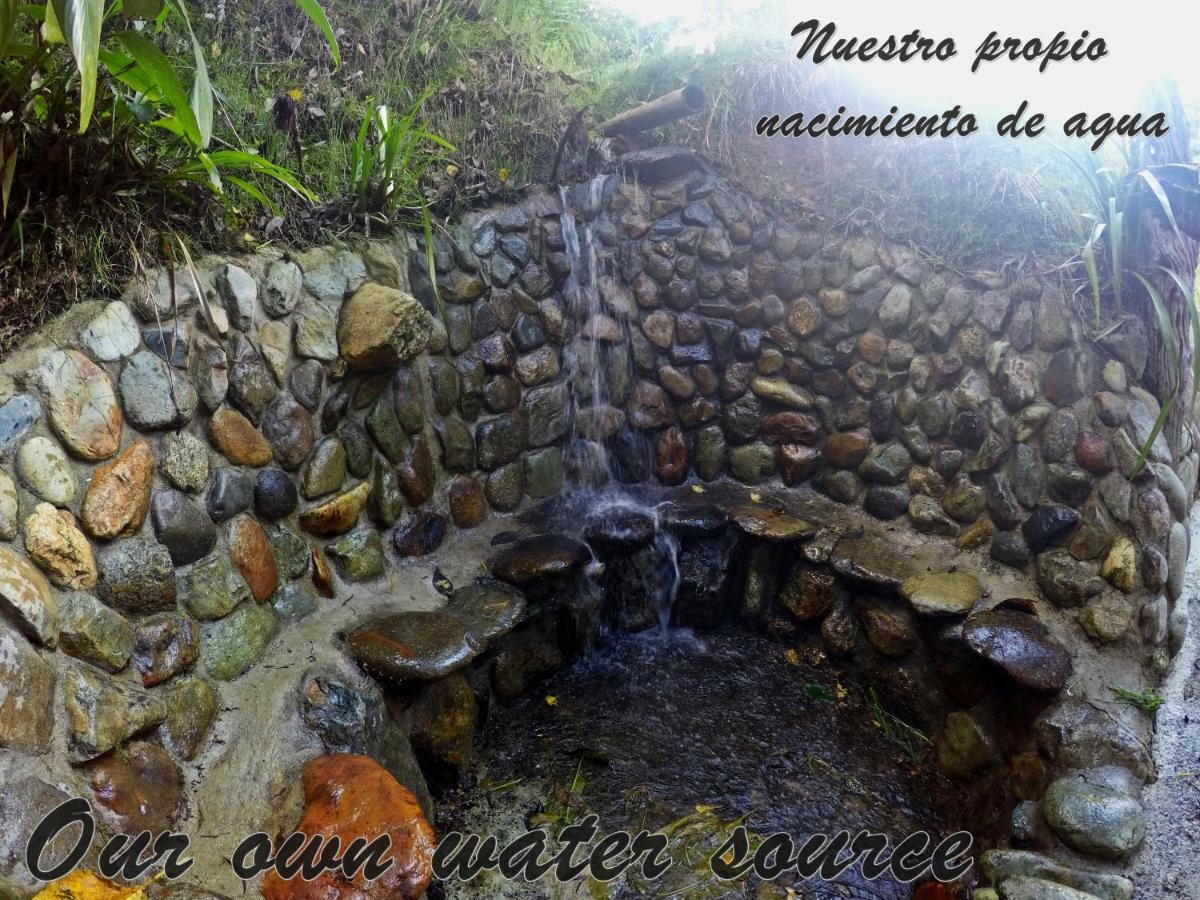 Ecorefugio Las Mirlas 萨兰托 外观 照片