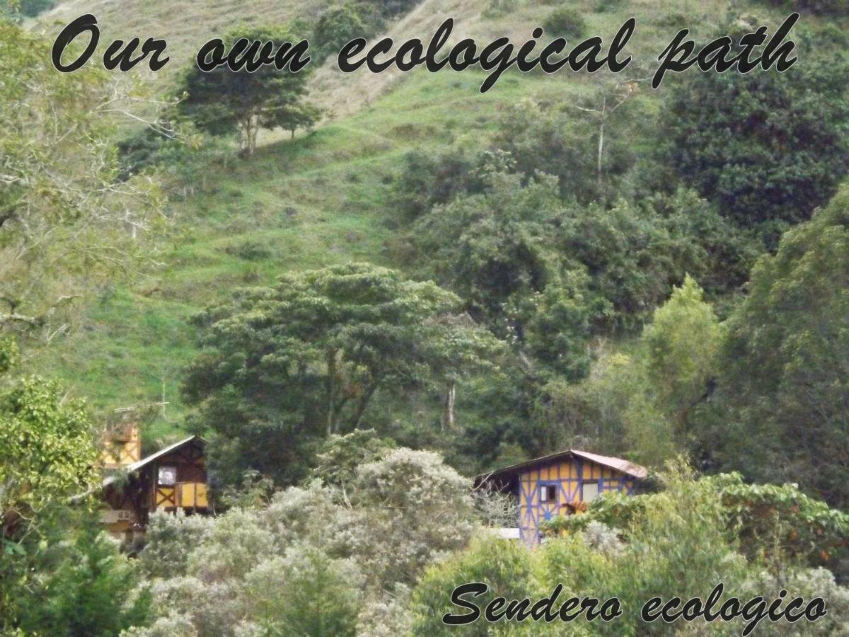 Ecorefugio Las Mirlas 萨兰托 外观 照片